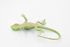 Lizard, Collared Lizard, Female, Rubber Reptile Toy, Realistic Figure, Model, Replica, Kids, Educational, Gift,       4 1/2"     F6109 B381
