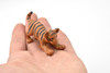 Tiger Cub, Playing Realistic Toy Model Plastic Replica Animal Kids Educational Gift  2.5" F240 B206