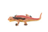 Lizard,  Red Stretchable Lizard, Rubber, Reptile Toy, Realistic Figure, Model, Replica, Kids, Educational, Gift,       6"        F2073 B15