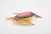 Crab, Dungeness Crab, Rubber, Crustaceans, Educational, Realistic, Hand Painted, Figure, Lifelike Figurine, Replica, Gift,        3 1/2"     F6001 B378