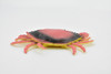 Crab, Dungeness Crab, Rubber, Crustaceans, Educational, Realistic, Hand Painted, Figure, Lifelike Figurine, Replica, Gift,        3 1/2"     F6001 B378