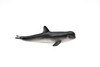 Pilot Whale, Very Nice Plastic Replica   3"    F0004-B23