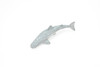 Whale Shark, Curved, Very Nice Plastic Replica    3"   ~    F0007-B23