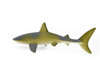 Lemon Shark, Very Nice Plastic Replica    4 1/2"   ~   F0014-B22