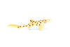 Zebra Shark, Very Nice Plastic Replica     4 1/2"  ~   F0016-B22