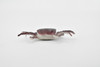 Crab, Small Rock Crab, Rubber, Crustaceans, Educational, Realistic, Hand Painted, Figure, Lifelike Figurine, Replica, Gift,     2"        F0035 B123