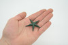 Starfish, Green, Sea Star, Echinoderms, Asteroidea, Ocean, Sea Life, Plastic Figure, Model, Realistic Replica, Educational Toy,  Life Like, Gift,     2 "      F0038 B123