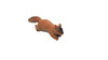 Squirrel, Very Nice Plastic Animal, Educational, Realistic Figure, Lifelike Model, Figurine, Replica, Gift,      3 Inches.      F1016 B14 
