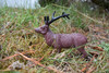 Elk, Wapiti, Very Nice Plastic Animal, Educational, Toy, Kids, Realistic Figure, Lifelike Model, Figurine, Replica, Gift,    4 Inches