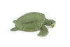 Sea Turtle, Kemp's Ridley Sea Turtle, Museum Quality, Hand Painted, Soft Rubber, Reptile, Realistic, Figure, Toy, Kids, Educational, Gift,       7"      F3382 B217