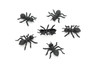 Ants , Pack of 6 Black Ants Very Nice Plastic Reproduction    1 1/2"    F6091 B381