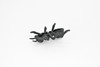 Ants , Pack of 6 Black Ants Very Nice Plastic Reproduction    1 1/2"    F6091 B381