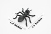 Ants , Pack of 6 Black Ants Very Nice Plastic Reproduction    1 1/2"    F6091 B381