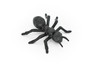 Ant, Black,  Very Nice Plastic Reproduction    1 1/2"   F6090 B381