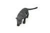 Panther, Black  Realistic Toy Model Plastic Replica Animal, Kids Educational Gift  5"  F8009 B114