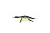 Liopleurodon Dinosaur, Museum Quality, Animal, Educational, Realistic Hand Painted, Figure, Lifelike Model, Vintage Replica, Toy,   2 1/2 Inches. 