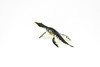Liopleurodon Dinosaur, Museum Quality, Animal, Educational, Realistic Hand Painted, Figure, Lifelike Model, Vintage Replica, Toy, Gift,    2 1/2 Inches.    F8104 B117