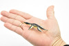 Liopleurodon Dinosaur, Museum Quality, Animal, Educational, Realistic Hand Painted, Figure, Lifelike Model, Vintage Replica, Toy,   2 1/2 Inches. 