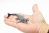 Mosasaurs Dinosaur, Museum Quality, Animal, Educational, Realistic Hand Painted, Figure, Lifelike Model, Vintage Replica, Toy,  4 Inches. 