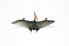 Pteranodon Dinosaur, Museum Quality, Animal, Educational, Realistic Hand Painted, Figure, Lifelike Model, Vintage Replica, Toy, Gift,    3 Inches.    F8121 B117