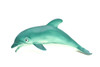 Dolphin, Realistic Toy Model Plastic Replica Animal, Kids Educational Gift  9"   F3408 B176