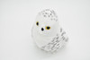  Snowy Owl, Very Nice Plush Bird, With Sound       5"      F1876 B327