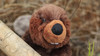 Beaver, Very Nice Plush, Stuffed Animal, Educational, Toy, Kids, Realistic Figure, Lifelike Model, Replica, Gift,    12"    F901 B234 