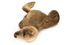 Sea Lion, Very Nice Plush Animal    20"      F4316 B420