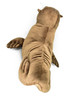Sea Lion, Very Nice Plush Animal    20"      F4316 B420