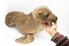 Sea Lion, Very Nice Plush Animal    20"      F4316 B420