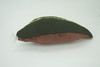 Leech, Hirudinea, Segmented worms, Plush Design, Educational, Figure, Replica, Gift,    8 inches long.  F1600 B606
