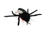 Mosquito, With Microbes, Bloodsuckers, Culex pipiens, Insect, Plush Design, Educational, Figure, Replica, Gift,     15" 