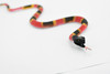 Snake, Coral Snake, Rubber Reptile, Educational, Realistic, Hand Painted, Figure, Lifelike Model, Figurine, Replica, Gift,    10"    F1730 B222