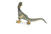 Allosaurus Dinosaur, Museum Quality Plastic Replica    8"    M003-B628