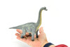 Brachiosaurus Dinosaur,  Museum Quality Plastic Replica   10"    M002-B628