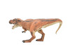 Tyrannosaurus rex, T. Rex, Dinosaur, Museum Quality Plastic Replica   10" BY 5"   M001-B628