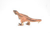 Tyrannosaurus rex, T. Rex, Dinosaur, Museum Quality Plastic Replica   10" BY 5"   M001-B628