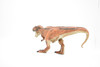 Tyrannosaurus rex, T. Rex, Dinosaur, Museum Quality Plastic Replica   10" BY 5"   M001-B628