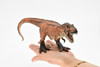 Tyrannosaurus rex, T. Rex, Dinosaur, Museum Quality Plastic Replica   10" BY 5"   M001-B628