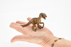 Velociraptor Dinosaur, Museum Quality Plastic Replica   4"   M016-B631