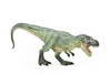 Tyrannosaurus rex, T. Rex, Dinosaur, Museum Quality Plastic Replica   10"   M017-B632