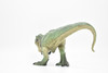 Tyrannosaurus rex, T. Rex, Dinosaur, Museum Quality Plastic Replica   10"   M017-B632