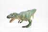 Tyrannosaurus rex, T. Rex, Dinosaur, Museum Quality Plastic Replica   10"   M017-B632