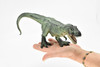 Tyrannosaurus rex, T. Rex, Dinosaur, Museum Quality Plastic Replica   10"   M017-B632