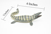 Tylosaurus Dinosaur, Realistic Toy Model Plastic Replica, Kids Educational Gift    6"   M025B634