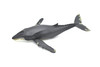 Humpback Whale,  Museum Quality Plastic Replica   12 1/2"   M031-B635 