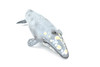 Gray Whale, Realistic Toy Model Plastic Replica Animal, Kids Educational Gift    11"    M032-B635