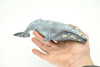 Gray Whale, Realistic Toy Model Plastic Replica Animal, Kids Educational Gift    11"    M032-B635