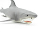 Great White Shark, Museum Quality Plastic Replica   8"  M036-B636