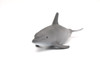 Dolphin, Realistic Toy Model Plastic Replica Animal, Kids Educational Gift    5"   M043 B638